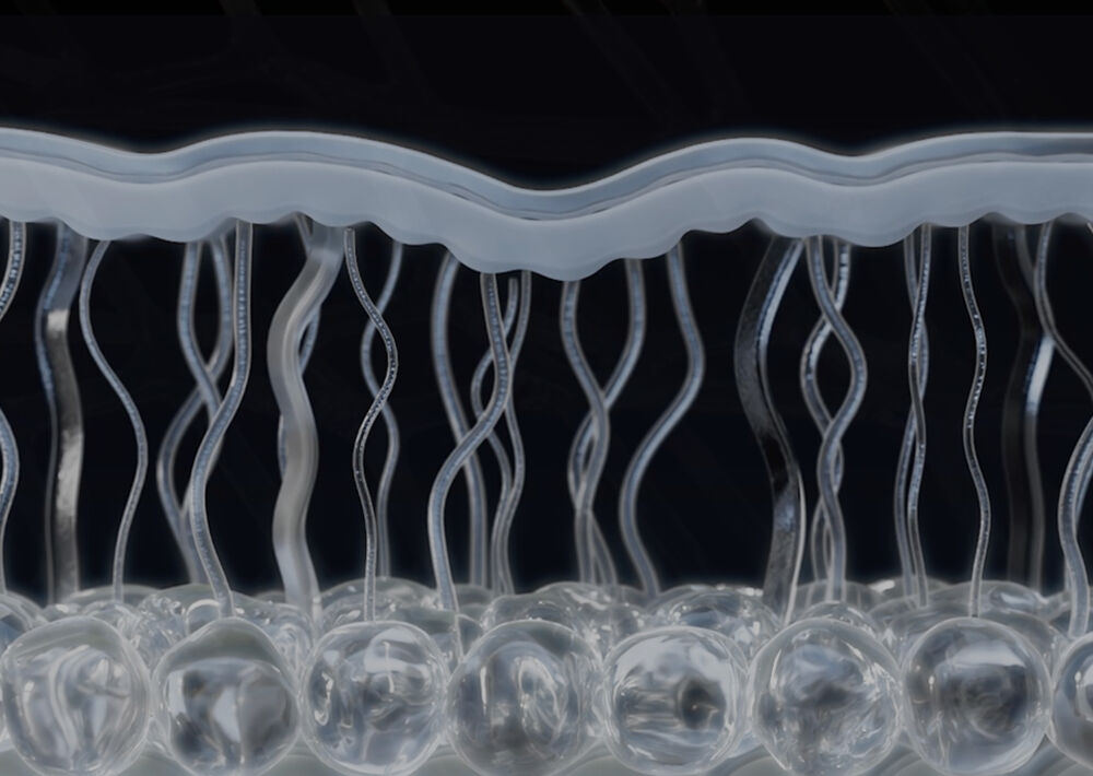 何謂lll型膠原？