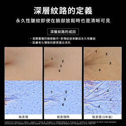 P-TIOX 超胜肽抗皺逆時無痕霜